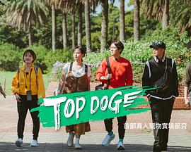 黑料天堂《TOP DOG》免费在线观看