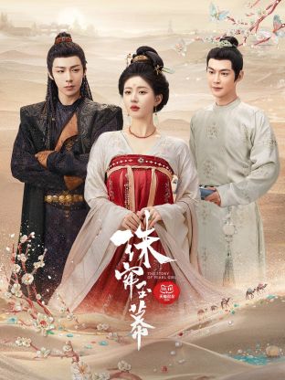 黑料大事记《珠帘玉幕》免费在线观看