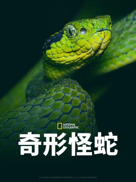 黑料官网《奇形怪蛇》免费在线观看